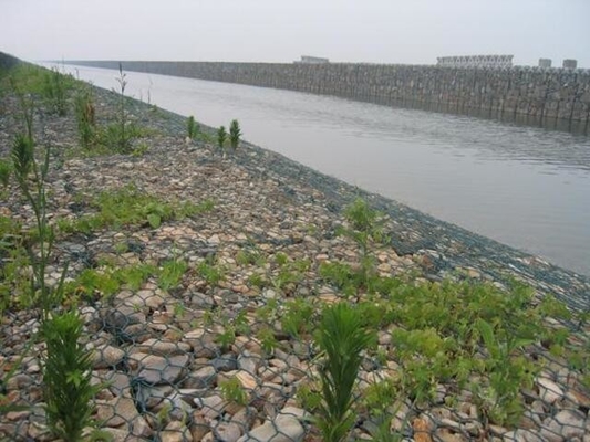 Anticorrosion Green Gabion Wire Mesh Can Be Planted Revetment River